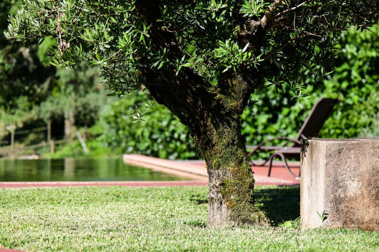 Vale do Ninho Nature Houses Ferraria de São João Exterior foto